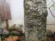 ڂ炳̔mԂ̋@̓eʐ^2