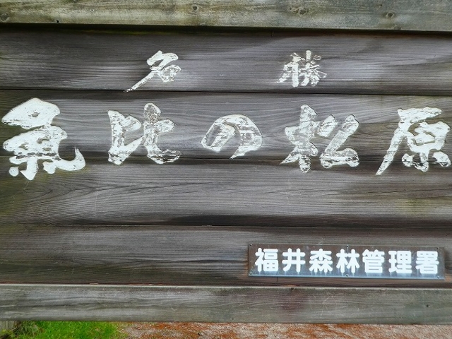 �C��̏���_�C��̏���