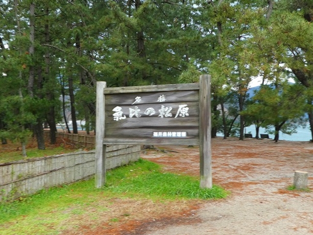 �C��̏���_�C��̏���