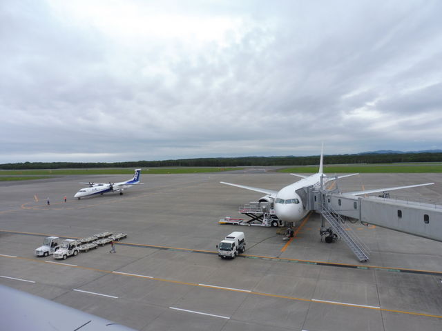 JALւANAւ_Hsόēi񂿂傤H`j