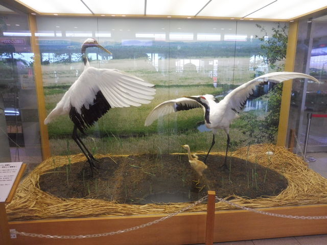 O߂o}_Hsόēi񂿂傤H`j