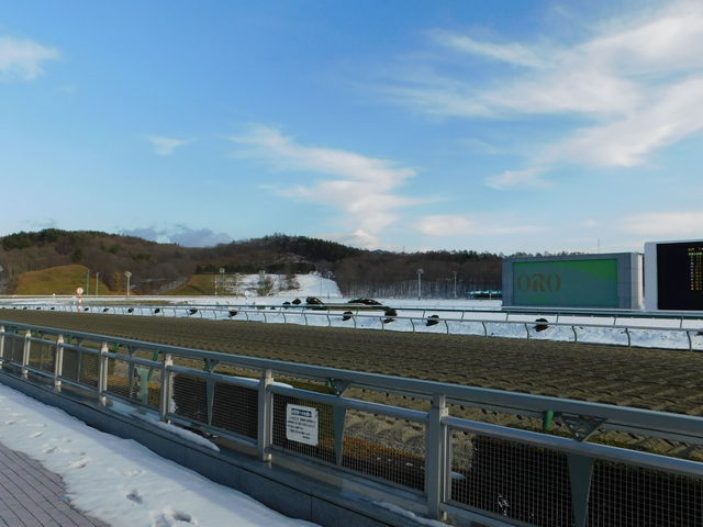 �z�[���X�g���b�`_�������n��i�I�[���p�[�N�j