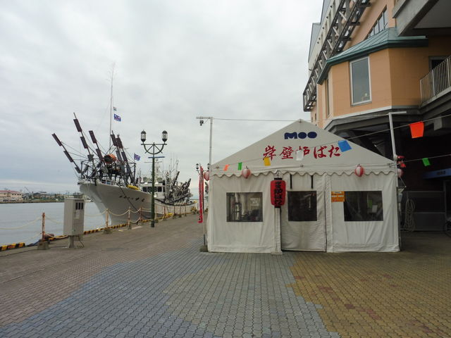 �ݕǘF�΂��͏�����_���H�t�B�b�V���[�}���Y���[�tMOO�EEGG