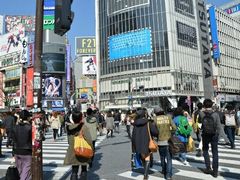 ܂邳̏aJwOXNu_ւ̓eʐ^1