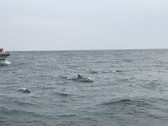 aya̓쓇CJEHb`Oւ̓eʐ^1