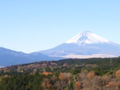 ނ̎OXJCEH[Nւ̓eʐ^1