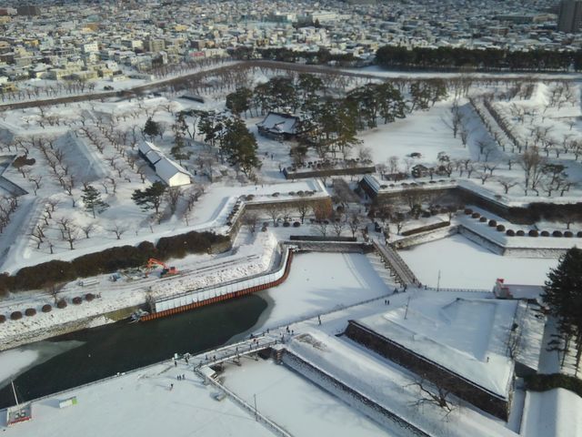 ��ɕ�܂ꂽ�ܗŊs_�ܗŊs����