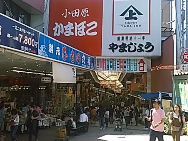 MCwOAaʂ菤XXɂ܂B_Ԍە