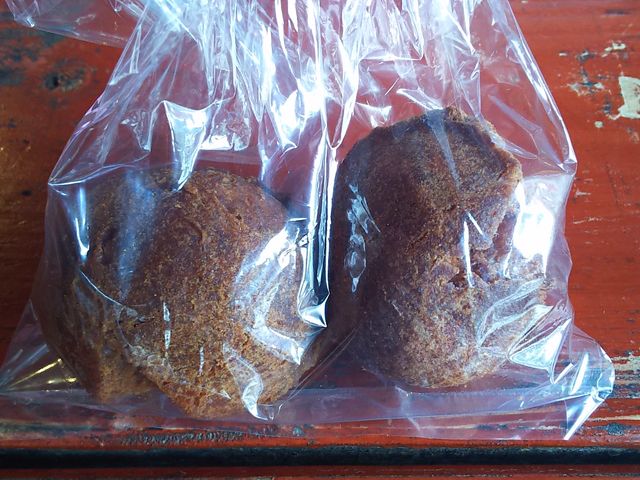 gCƍ_ O{ Ȃ̉w Ȃ䂭sX