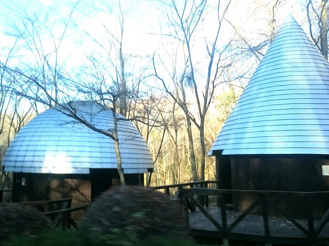 MINT̍ʌ산񂫃vU̓eʐ^5