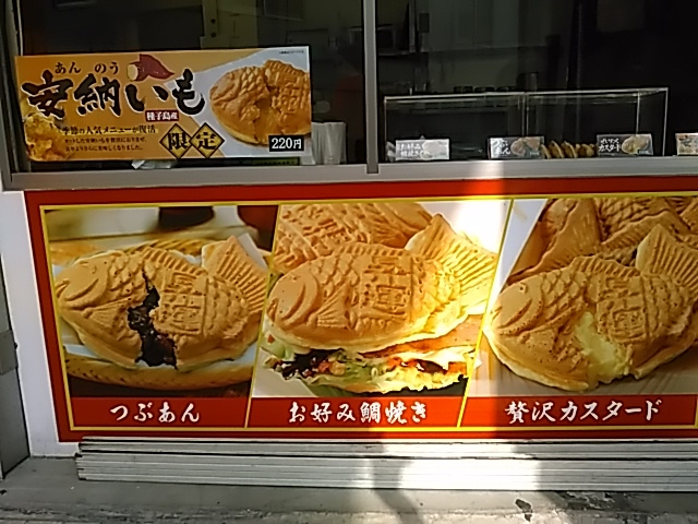 GߌA[̑Ă̂ŁAĂ݂ĉB_߂őĂ{ ˉzX