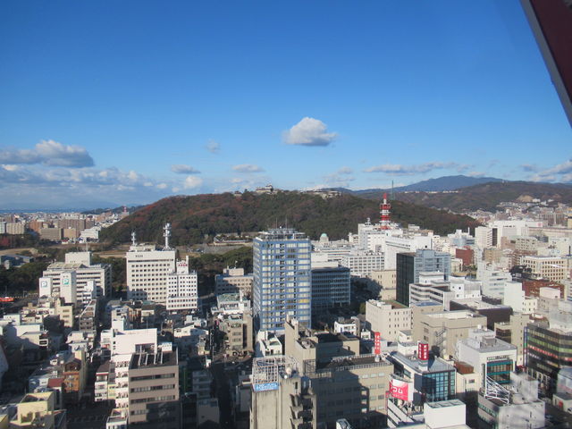 ���R�s���Ə��R��_��ϗ��Ԃ�����