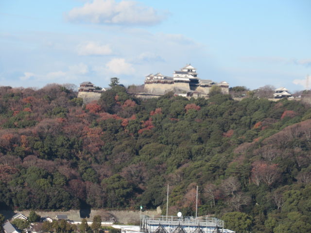 ���R��A�b�v_��ϗ��Ԃ�����