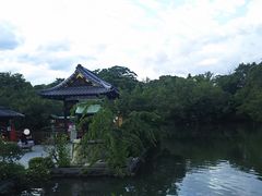 ܂[񂳂̐_򉑂ւ̓eʐ^1