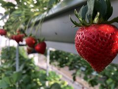 ˂̎RFUJIt[cp[Nւ̓eʐ^1