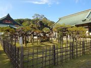 pon񂳂̑@̉痴̓eʐ^1