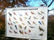 MINT̍ʌ산񂫃vU̓eʐ^3