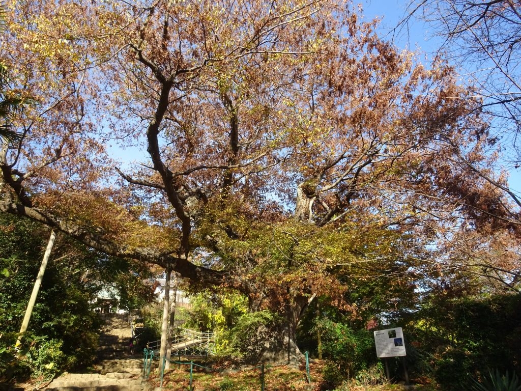 太田市の動物園・植物園ランキングTOP9 - じゃらんnet