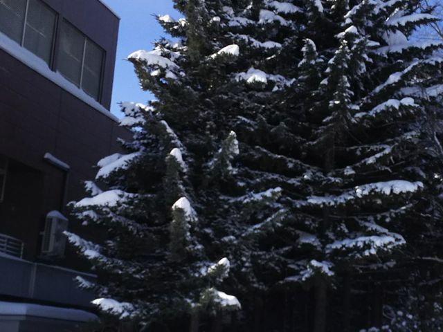 �����X�L�[_��������