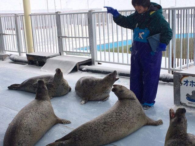 ��������̃A�U���V�B_�I�z�[�c�N�Ƃ�����Z���^�[