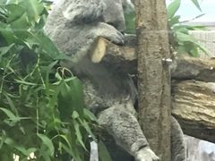 taco.����̉��l�s�����򓮕����ւ̓��e�ʐ^1