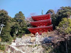 ���̂��˖т���̋��؎R�ւ̓��e�ʐ^1