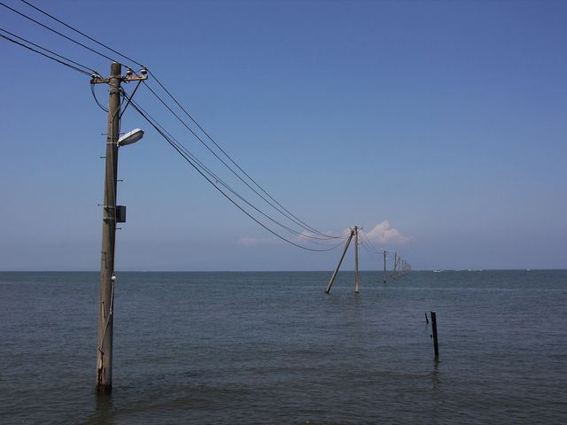 �d�������������Ă��܂��B_�����c�C���H