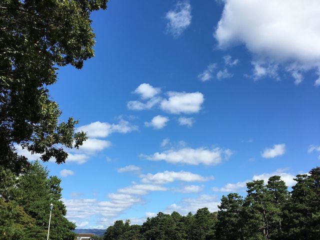 �V�C�̗ǂ����ł����B_���s�䏊