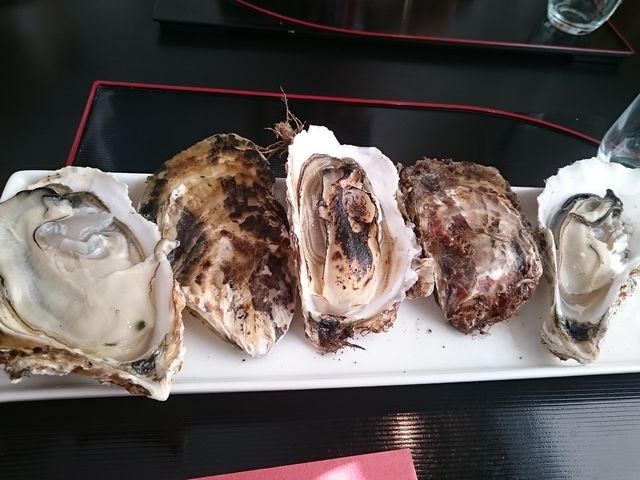 R^[̂  C݉wOX̓eʐ^1