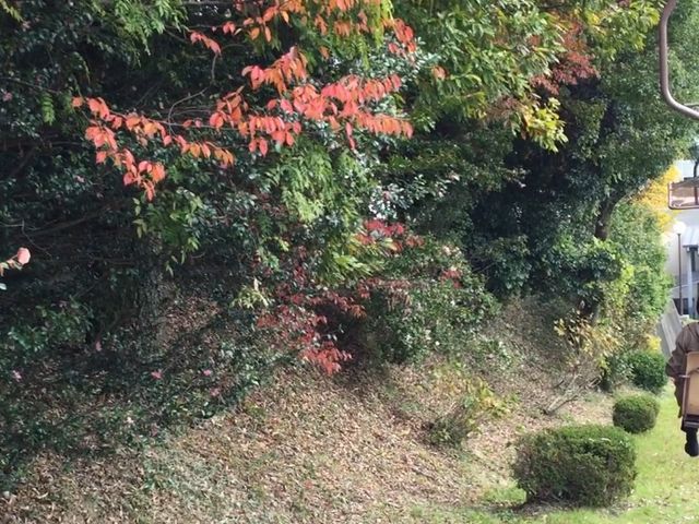 ���t�g�ɏ��Ȃ���_���R�郍�[�v�E�F�C�E���t�g