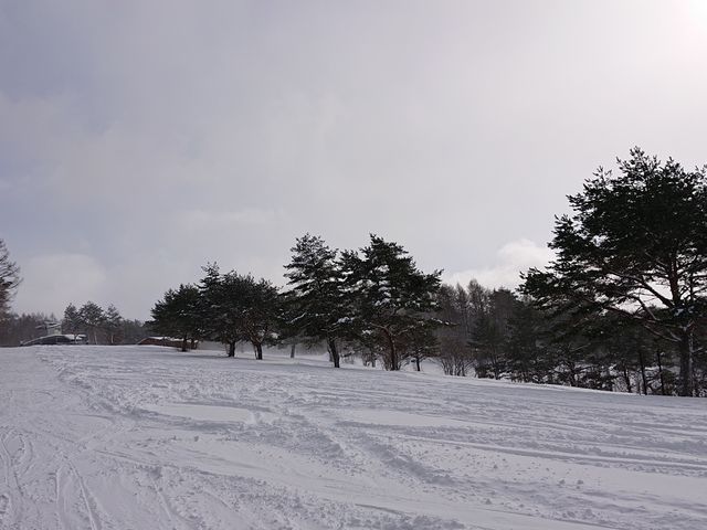 ����Ȃ��̃Q�����f_���K�X�L�[��