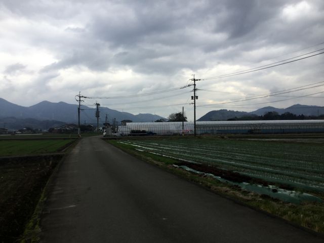 ���ԏꂩ��r�j�[���n�E�X�܂�50���[�g���قǂł�_�悩���񂢂���