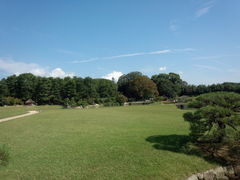 E̗RAy[gyxRzւ̓eʐ^1