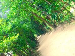 ܂䂣~̔̃tNM؂ւ̓eʐ^1