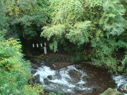 ����񂲂���̑��}�Ε��C�̓��e�ʐ^2