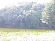 jyarapon̕_Ђ̓eʐ^1