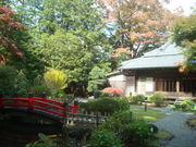 񂲂̕xmzeʊف@eؑ̓eʐ^2