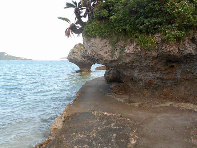 ������̊��𑫌����ӂ��Ȃ���i�݂܂�_�A�}�~�`���[�̕�