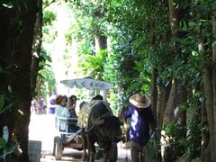 킿񂳂̔̃tNM؂ւ̓eʐ^1