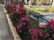 񂳂̃IN}vCx[gr[`][g̓eʐ^4