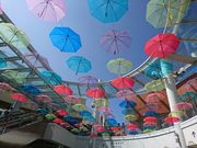 korikori̎OAEgbgp[N WYh[̓eʐ^2