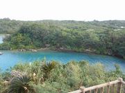 ����肾�[����̉��c���W�]��̓��e�ʐ^2