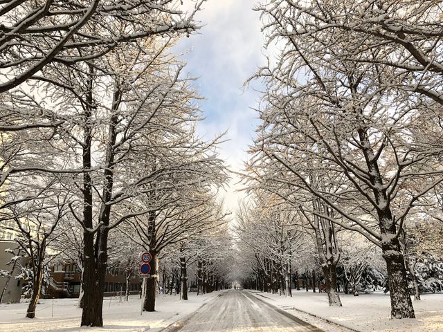 ���S�ɗ��t�����ʂ�_�k��C�`���E����