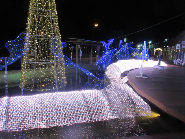 �C���J_�h���t�B���|�[�g