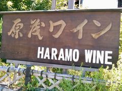 Ȃ΂񂳂̌΃Cւ̓eʐ^1