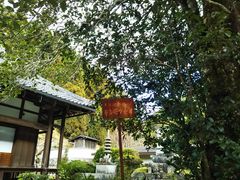 うめたろうさんの円覚寺（奈良県東吉野村）の投稿写真1