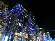 ڂ񂳂̌䓰؂̓eʐ^2