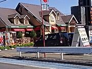 anbl菊 R_X Fs{ˍՓX̓eʐ^1