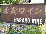 Ȃ΂񂳂̌΃C̓eʐ^1