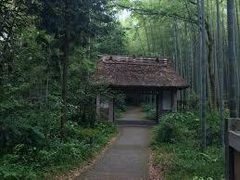 �`�b�N����̂Ƃ��H�[�J�t�F�ւ̓��e�ʐ^1